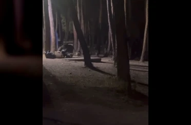 Aç kalan domuzlar Nilüfer Kent Ormanı’nda yiyecek aradı 