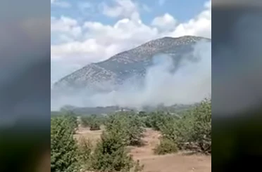 Acıpayam’daki orman yangını kontrol altına alındı 