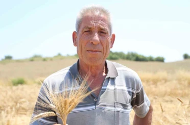 Adana’da ata tohumu karakılçık buğdayı yeniden üretime kazandırıldı 