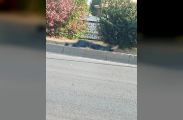 Adana’da minibüsün çarptığı yaya hayatını kaybetti 