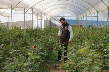 Adana’da sevgililerin gülleri dalında kurudu 
