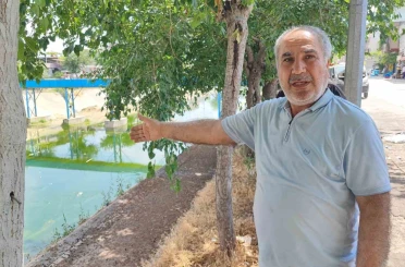 Adana’da sivrisinek istilasına vatandaş tepkisi: "Çocuklarımız yara içinde kaldı" 