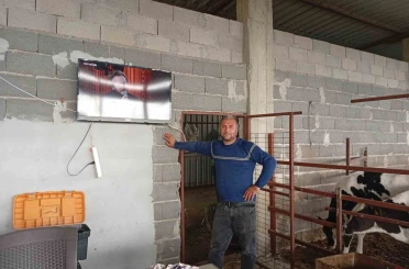 Adanalı üreticiden süt verimi için ilginç yöntem 