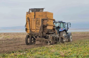 Adilcevaz’da pancar sökümü hızla devam ediyor 