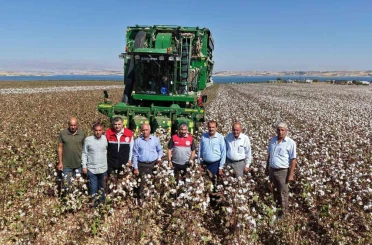 Adıyaman’da 2025 yılı pamuk hasadı başladı 