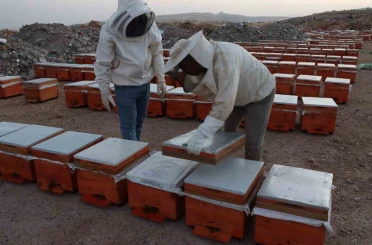 Adıyaman’da 2026 yılı bal fiyatları açıklandı 