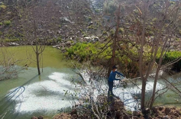 Adıyaman’da sivrisinek ve haşerelere karşı ilaçlama çalışması 