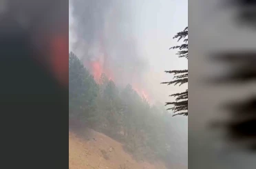 Adıyaman’daki orman yangını kontrol altına alındı 