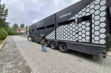 Afyonkarahisar’da hayvan sevklerine yönelik kontroller sürüyor
