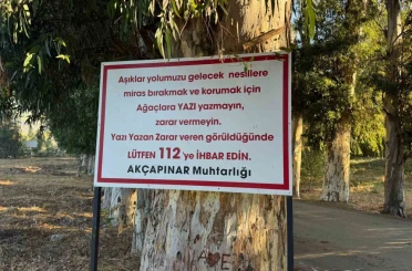 Ağaçlara yazı yazanları tabela ile uyardı 