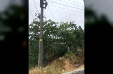 Ağaçların içinden geçen elektrik telleri tehlike saçıyor 