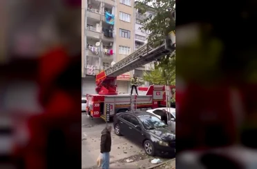 Ağaçta mahsur kalan kediyi kurtarmak için seferber oldular 