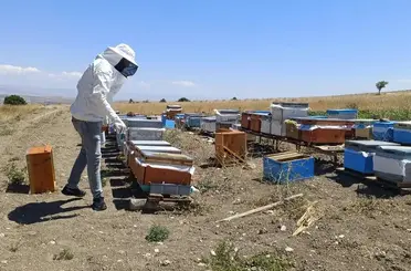 Ağın’da arıcılık çalışmalarında üreticilere destek
