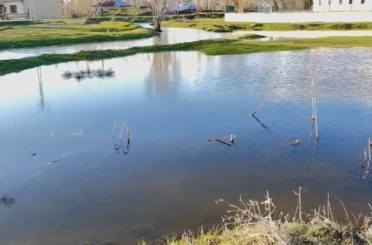 Ağrı’da sağanak nedeniyle dereler taştı 