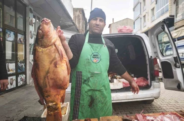 Ahlat’ta dev sazan balıklarına yoğun ilgi 