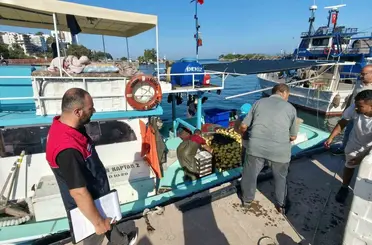 Akçakoca’da balıkçılar sezona hızlı başladı
