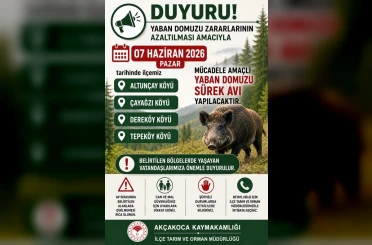 Akçakoca’da domuz avı yapılacak 