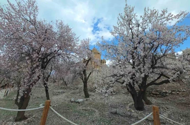 Akdamar Adası’nda renk cümbüşü 