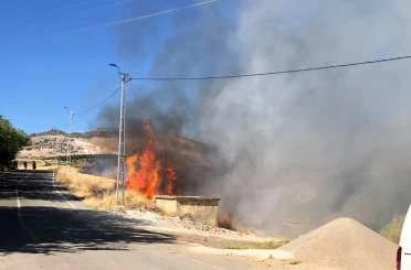 Akıma kapılan karga yangına neden oldu 