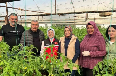 Aksu’da örtü altı tarımda yıllık yaklaşık 370 bin tonluk rekoltenin tamamı kadın çiftçilerin emeğiyle üretiliyor 