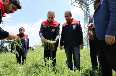 Akyaka’da dolu yağışı tarım arazilerini vurdu: Hasar tespit çalışmaları sürüyor 