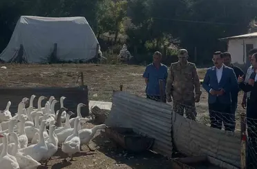 Akyaka’da kaz yetiştiriciliğine yakın takip
