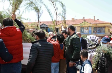 Alaca Belediyesi vatandaşlara 2 bin fidan dağıttı 