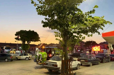 Alaca’da haşereye karşı ilaçlama çalışmaları hız kesmeden sürüyor 