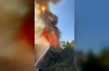 Alanya’da çalılık alanda çıkan yangında 2 sera ve 2 dönüm arazi zarar gördü 