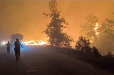Alanya’da orman yangını 
