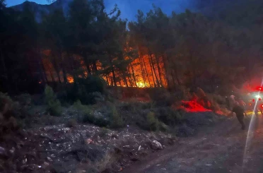 Alanya’da ormanlık alanda çıkan yangın kontrol altına alındı 