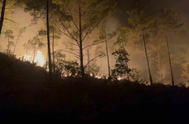 Alanya’da ormanlık alandaki yangın 