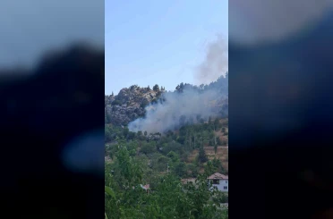Alanya’da zirai alanda çıkan yangın söndürüldü 