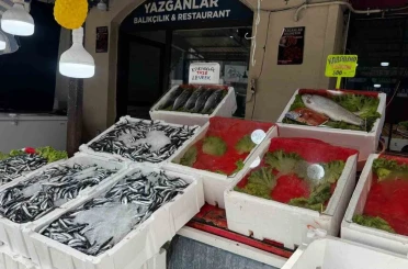 Alaplı’da balık tezgâhları boş kaldı 