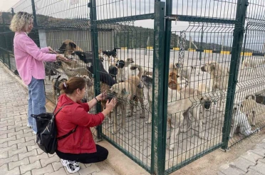 Alaşehir’de 30 dönümlük doğal yaşam alanı açıldı 