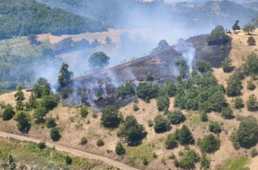 Alevler, ormana sıçramadan söndürüldü 