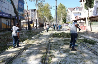 Alikahya Tramvay Hattı’nda ağaçlar budanıyor 