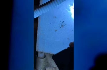 Alışveriş merkezindeki restoranlarda mide bulandıran görüntüler 