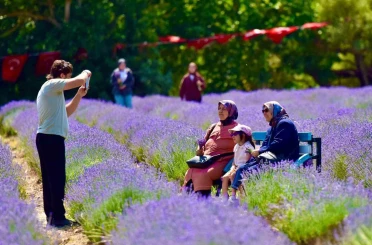 Altıeylül’de mor şölen ilgi gördü 