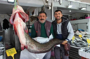 Altınkaya Barajı’nda 85 kiloluk dev yayın balığı yakalandı 