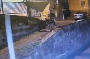Altınları çalıp eşekle kaçan sanığa 9 yıl 7 ay hapis cezası 