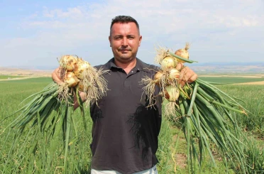 Amasya’da soğan bir bardak çaydan bile ucuz 