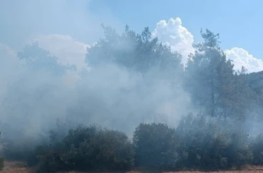 Andırın’da orman yangını büyümeden söndürüldü 