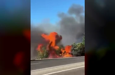 Anız yangını ağaçlara sıçramadan söndürüldü 