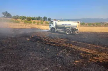 Anız yangını makilik alana sırçadan söndürüldü
