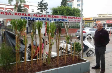 Annesinin çok sevdiği çiçeği, iş yerinin önünde mezarı andıran alanda 40 yıldır yaşatıyor 