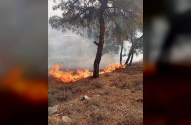Antakya’da orman yangını
