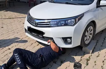Antakya ve İskenderun’da araçlarda mahsur kalan kediler kurtarıldı
