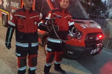 Antakya ve Reyhanlı’da yerleşim yerlerine giren yılanlar yakalandı
