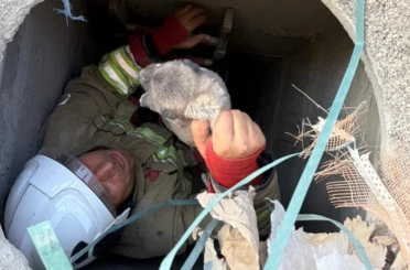Antakya’da 5 metrelik kuyuya düşen yavru köpek kurtarıldı 